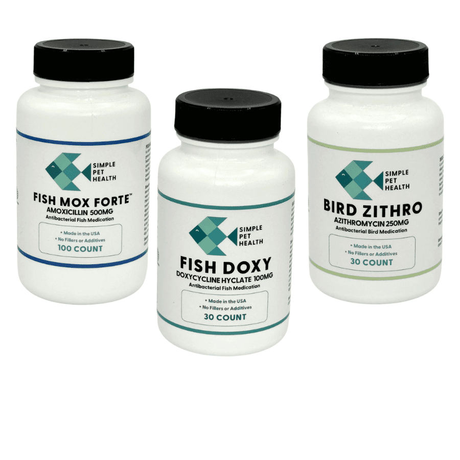 Fish Mox Forte™ - Amoxicillin 500 mg 100 Count - Fish Mox Direct