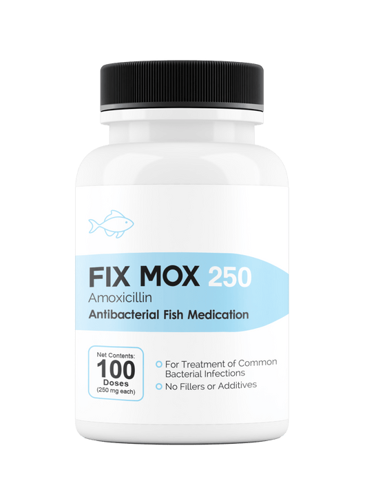 Fix Mox - Amoxicillin 250mg - Fish Mox Direct